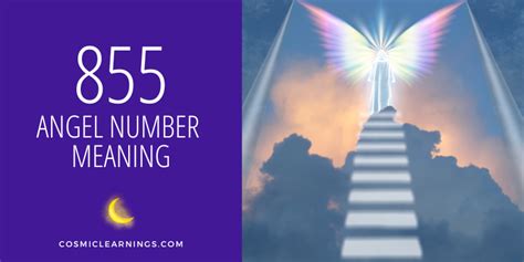 855 twin flame|Angel Number 855: Meanings, Significance, and。